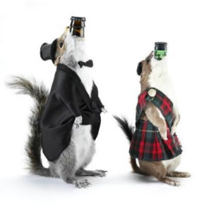Our definition for weird beer has to do with the taste, not the name or the packaging – as in BrewDog’s End of History, a 55% ABV beer bottled in a taxidermy squirrel. Image credit: BrewDog
